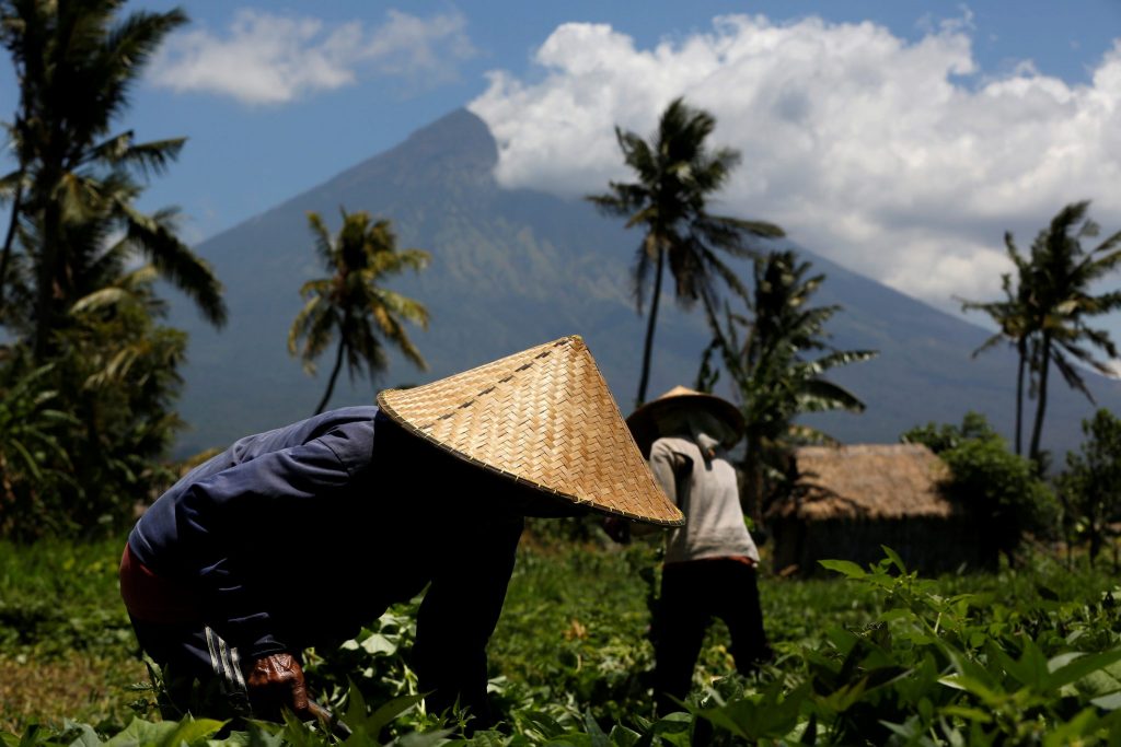 Plantation Headhunter Indonesia